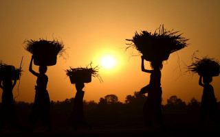 Silhouette baskets grass sunset people - afewerk tekle free wallpaper