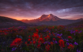 Mountain flower field sunset clouds 2 - andrey esionov free wallpaper
