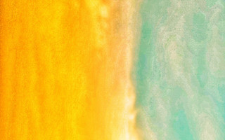 Yellow blue bird right abstract - painting free wallpaper