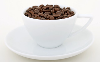White cup coffee beans saucer - a white cup free wallpaper