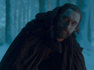 Man beard black coat snow - tree free wallpaper