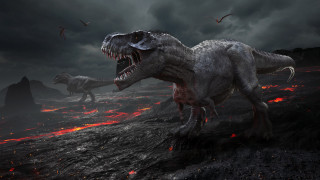 Dinosaurs rocky lava birds photorealism - adam rex free wallpaper