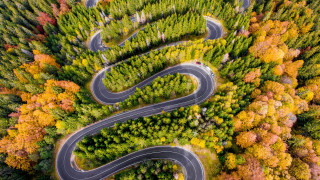 Winding road autumn leaves nature - the fall season free wallpaper