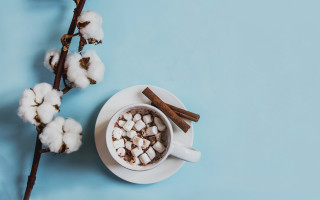Hot chocolate marshmallows cinnamon branch - a cup free wallpaper