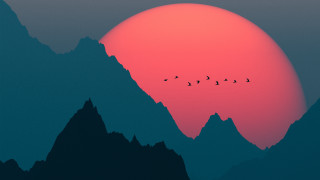 Birds mountain sunset forest moon 2 - over a mountain range free wallpaper for desktop