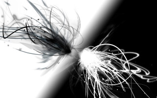 Black white flower long hair - photo of a flower free wallpaper for desktop