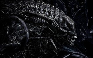 Alien sharp teeth armor monochrome - alien free wallpaper