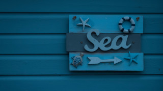 Sea starfish anchor lifesaver typographic - a starfish free wallpaper for desktop