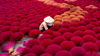 Person hat field red flowers - umbrella free wallpaper