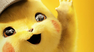 Cat hat open eyes hand - chen chi free wallpaper