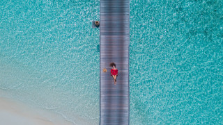 Woman red top boardwalk dog - a leash free wallpaper for desktop