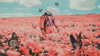 Person field flowers butterflies sky - sci fi free wallpaper