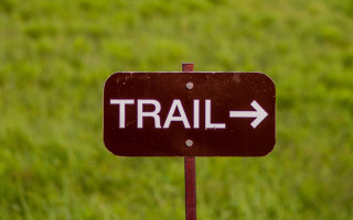 Trail sign green grass arrow - clean free wallpaper