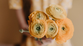 Person bouquet flowers blurry background - elinor proby adams free wallpaper