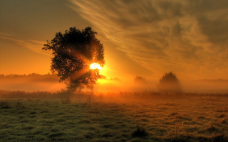 Sunrise tree fog clouds mountain - the air free wallpaper