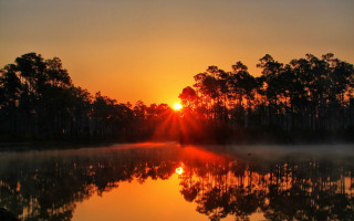 Lake sunset fog trees autumn - a sun free wallpaper for desktop