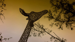 Giraffe sculpture autumn leaves sunset - alexander stirling calder free wallpaper