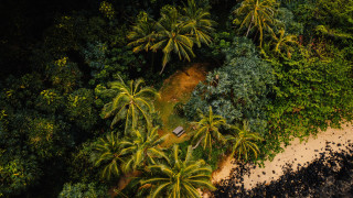 Beach boat trees bushes sand - a beach free wallpaper for desktop