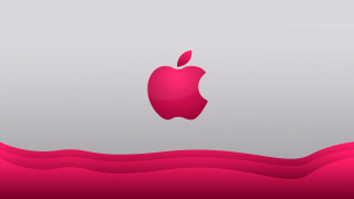 Apple logo gray pink background - the right side of the image free wallpaper