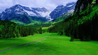 Green field mountain road foreground - art green free wallpaper for desktop