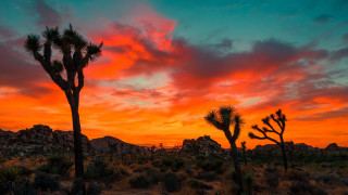 Sunset trees rocks clouds autumn - a few rock free wallpaper