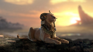 Lion headdress sunset grass bird - a lion free wallpaper for desktop