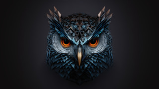 Owl head orange eyes glowing - orange eye free wallpaper
