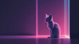 Cat doorway neon pink photorealism - rossdraw global illumination free wallpaper