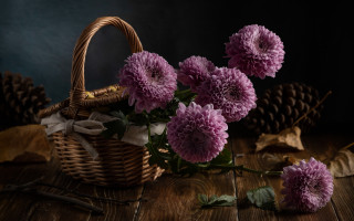 Basket flowers table leaves cones - a basket of flowers free wallpaper