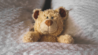 Teddy bear bed white sheets - white sheet and pillows free wallpaper for desktop