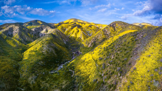 Mountain range yellow flowers blue - panoramic free wallpaper for desktop