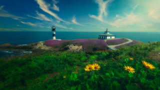 Lighthouse hill flower field clouds - a hill free wallpaper for desktop