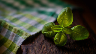 Green leafy plant wooden table 2 - cloth free wallpaper