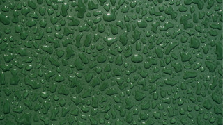 Green wall water drops photorealistic - the bottom free wallpaper