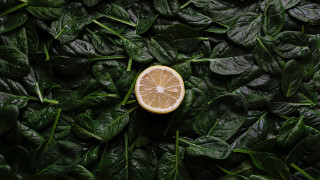 Lemon on leaves green nature - a lemon free wallpaper