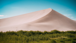 Sand dune grass bushes tilt - grass and bushes free wallpaper