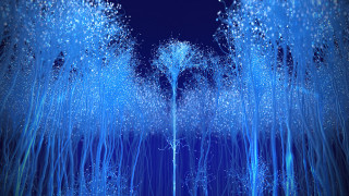 Blue forest sky fireworks moon - environment free wallpaper