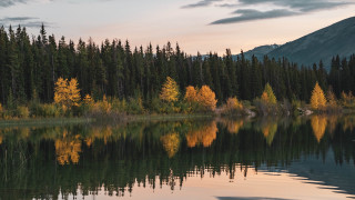 Lake forest mountain sunset clouds - free forest wallpaper