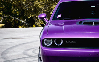 Purple car parking lot trees - a purple car free wallpaper for desktop