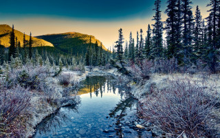 Sunset forest stream mountains bushes - a stream free wallpaper for desktop