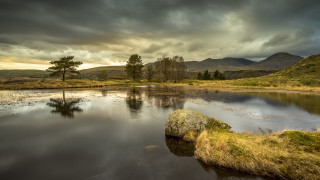 Lake mountains cloudy sky lone - a lone tree in the foreground free wallpaper