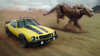 Yellow car driving brown animal - a yellow car free wallpaper