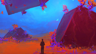 Man red object field flower - anton fadeev free wallpaper
