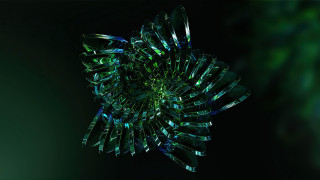 Green black abstract flower generative - petal free wallpaper
