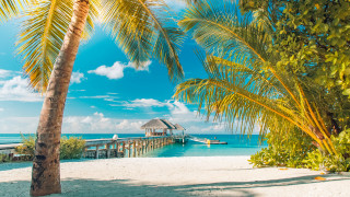 Palm beach dock hut sunny - a sunny day free wallpaper for desktop