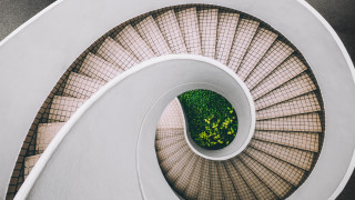 Spiral staircase tree sky reflection - a skylight above free wallpaper