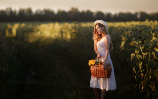 Woman white dress hat sunflowers 2 - a field of sunflowers free wallpaper