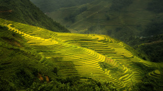 Green field mountain trees ecological - dai xi free wallpaper for desktop