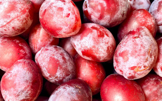 Plums ice snow red background - a white border free wallpaper