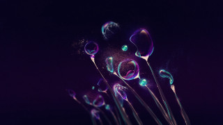 Bubbles floating purple space particles - a bunch of bubbles free wallpaper